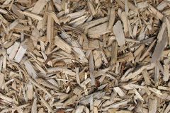 biomass boilers Tone